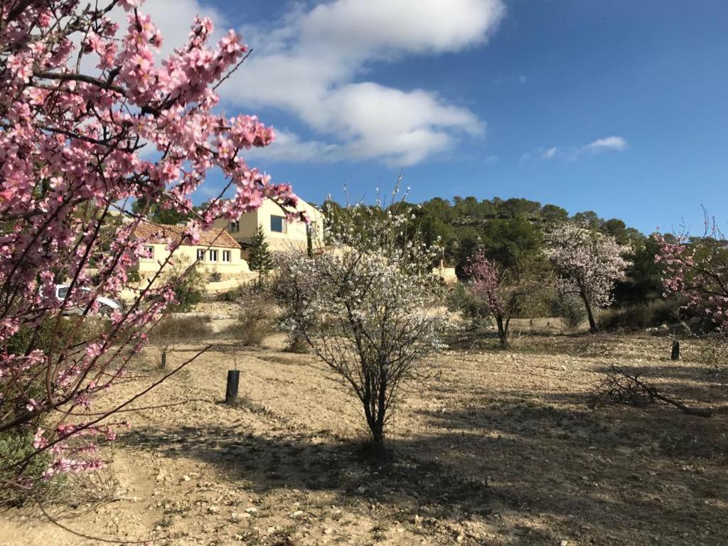 Finca Las Estrellas Relleu エクステリア 写真